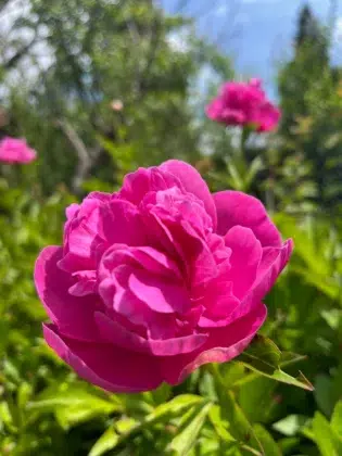 Engagements écologiques 10 IMG 2674