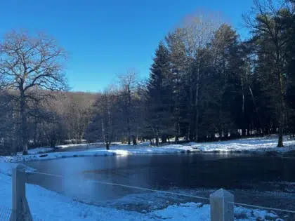 Alentours 7 IMG 5118