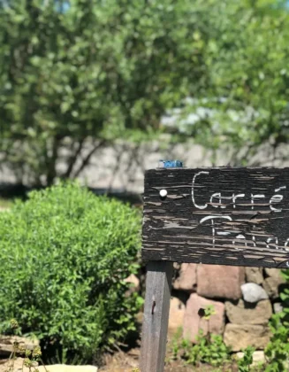 Engagements écologiques 11 IMG 6670 e1760964223837