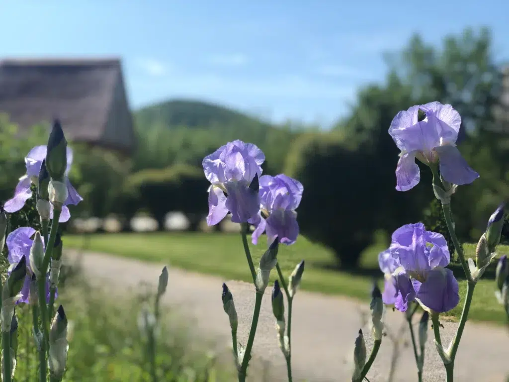 Domaine La Roche d'Ully — photo 2