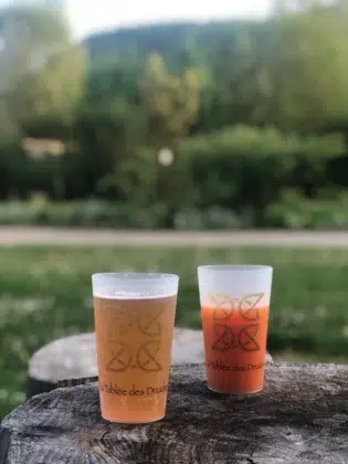 Services 10 dd00729e cf7a 44b3 9502 8b6ab3894c2e