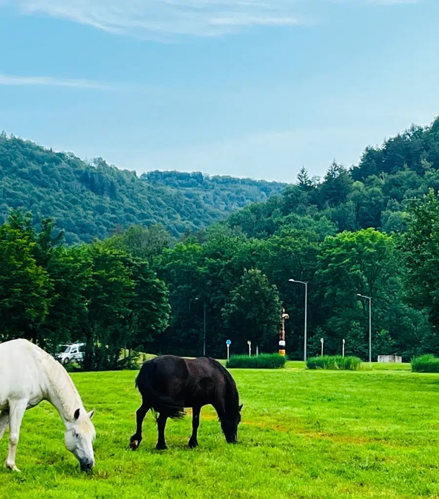 Domaine La Roche d'Ully — photo 4