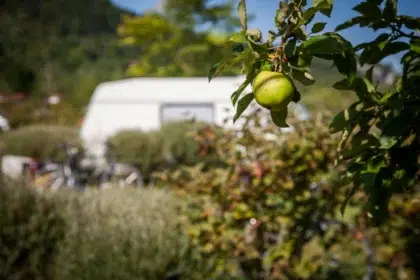 Services 17 vue camping pomme 1